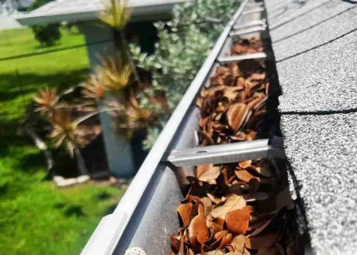 Kirkwood gutter cleaning home page